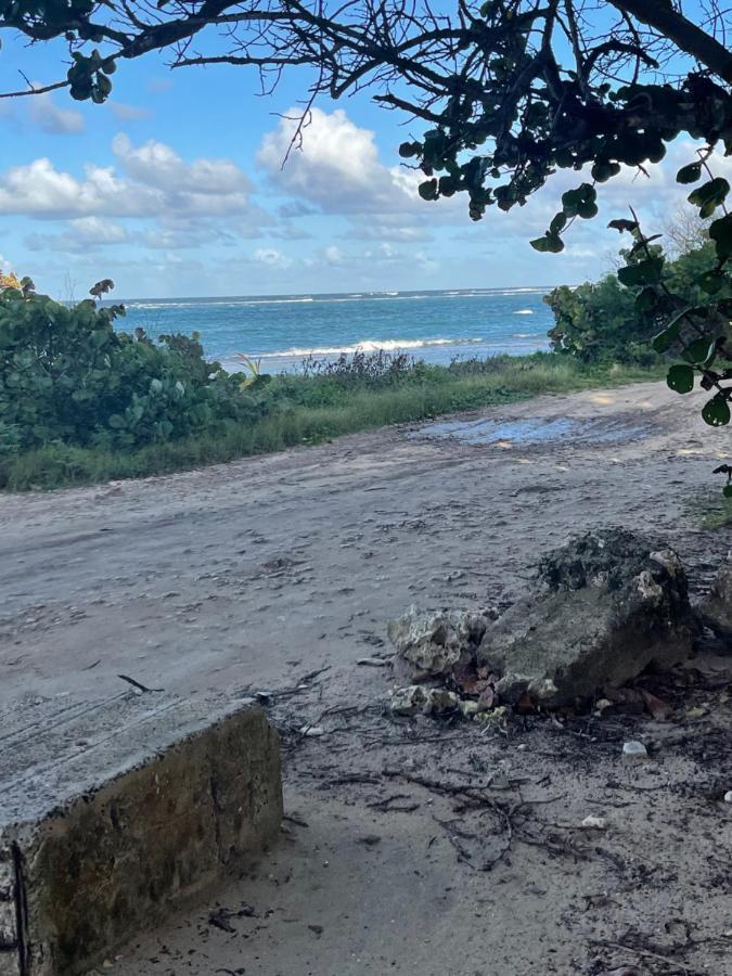 2 Bungalows Au Bord De La Plage De Montal A Moule Loues Individuellement Ou Ensemble ル・ムル エクステリア 写真