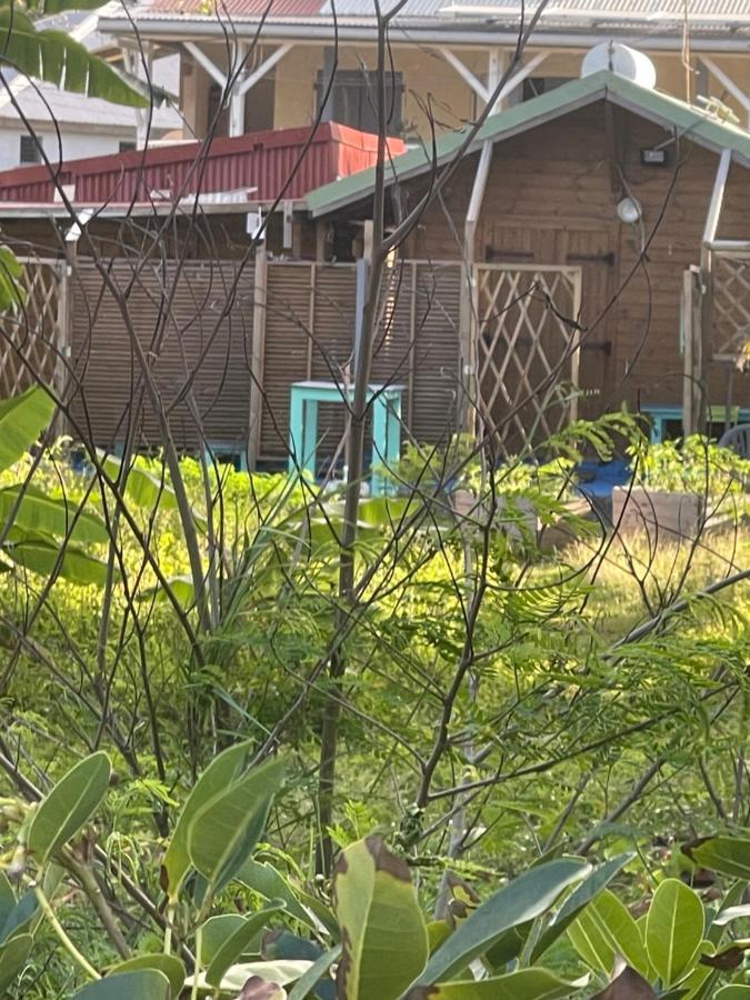 2 Bungalows Au Bord De La Plage De Montal A Moule Loues Individuellement Ou Ensemble ル・ムル エクステリア 写真